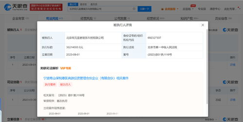 网元圣唐被强制执行3821万元，背后折射数字内容制作服务风险